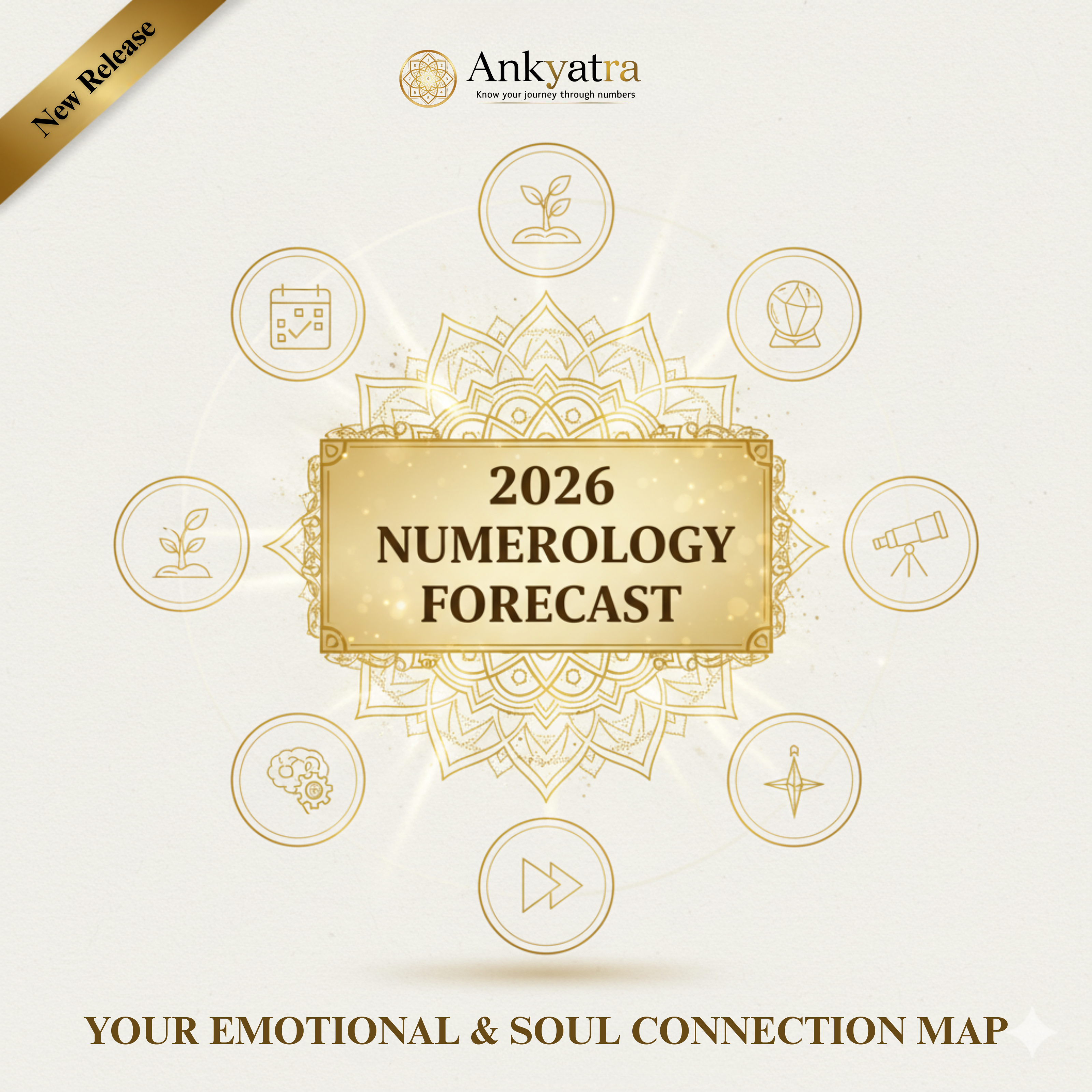 2026 Numerology Forecast